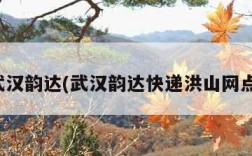 武汉韵达(武汉韵达快递洪山网点)