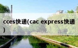 cces快递(cac express快递)