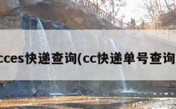 cces快递查询(cc快递单号查询)