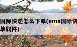 ems国际快递怎么下单(ems国际快递怎么下单取件)