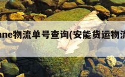 安能ane物流单号查询(安能货运物流查询)