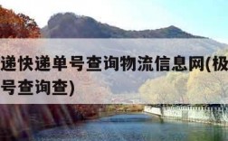 极兔速递快递单号查询物流信息网(极兔速递快递单号查询查)