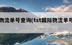 国际物流单号查询(tst国际物流单号查询)