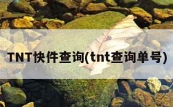 TNT快件查询(tnt查询单号)