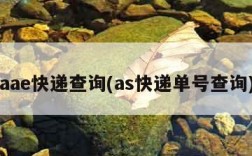 aae快递查询(as快递单号查询)